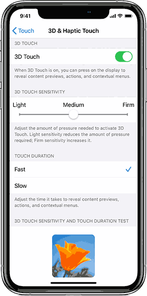 iOS 13 iPhone XS accessibility 3D touch Setting