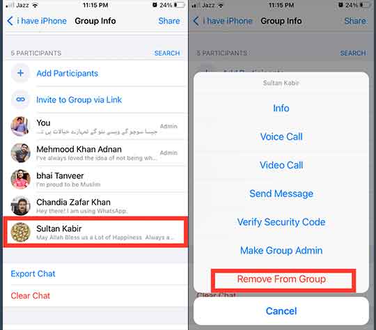how to Remove Members in WhatsApp Group